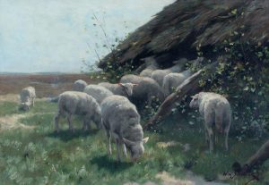 Willem Steelink Jr.: LAMBS NEAR FOLD