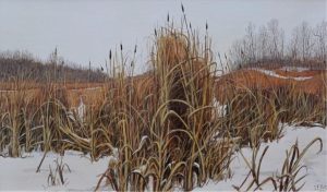 Joseph Feranc (Joe) Acs: BULRUSHES IN NOVEMBER (HIGHWAY #14 EAST, ALTA)