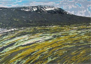 Ronald William (Ron) Bolt: ARCTIC SUITE #5 – BAFFIN UPLANDS