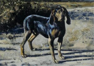 Ken Tolmie: STUDY FOR ED MITCHELL’S HOUND