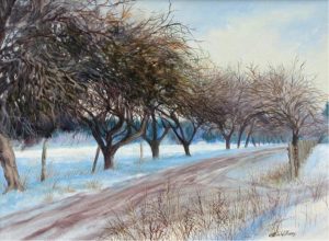 Colin Williams: ORCHARD IN WINTER, SALT SPRING ISLAND