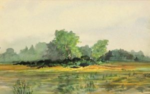 Katherine Nix-James: SUMMER LANDSCAPE