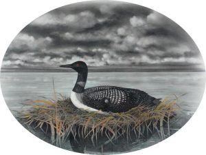 Kieron Guiboche: NESTING LOON