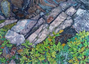 Dora Helen Mackie: BOTANICAL SCENE WITH ROCKS AND FLOWERS