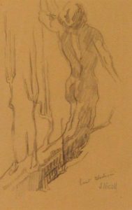James McLaren (Jim) Nicoll: ORGANIC EVOLUTION SKETCHBOOK DRAWINGS