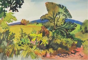 George Campell Tinning: SUTTON MT.