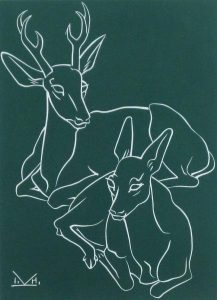 Illingworth Holey Kerr: MULE DEER