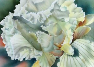 Maria Crossley: IRIS