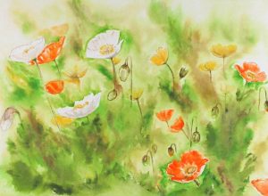 Merle Stewart McKee: FIELD OF POPPIES