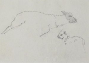 Frederick Horsman Varley: BLACK FACE SHEEP, LYNN VALLEY