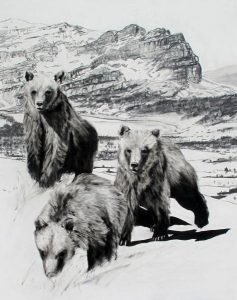 Maureen Enns: LILY’S CUBS ON WONDER PASS