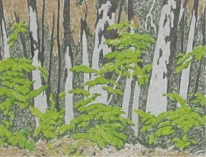 Alfred Joseph Casson: FOREST EDGE