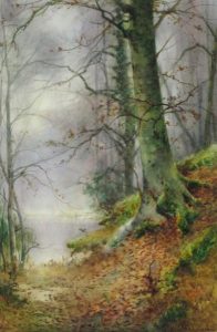 Thomas Taylor Ireland: BORDERING THE WOOD  |  A MOSS-CLAD WOOD