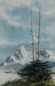 Harry Heine: SNOW PEAK, GRAHAM ISLAND, QUEEN CHARLOTTE ISLAND