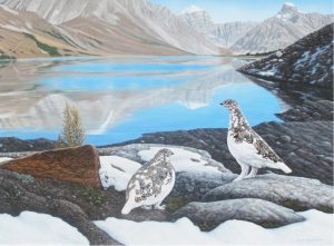 Glenn Olson: HIGH COUNTRY HAVEN (WHITE-TAILED PTARMIGAN