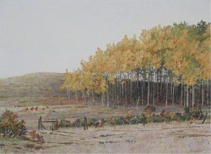 Walter Drohan: ASPEN GROVE