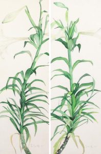 Don McVeigh: LILIES