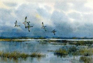 Harold Demont Olson: DUCKS FLYING OVER WETLANDS