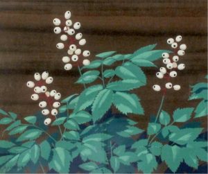 Alfred Joseph Casson: THE WHITE BANEBERRY