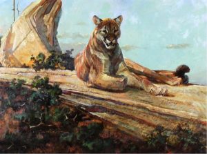 Dennis P. Anderson: COUGAR