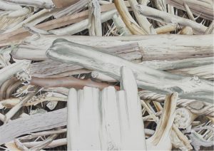 Ted Godwin: FOREST PATTERNS, DEADFALL