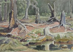 Margaret Dorothy Shelton: IN THE HEART OF THE WOODS