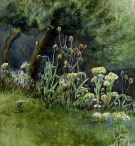 Frances Ann Beechey Hopkins: TREES AND WILDFLOWERS
