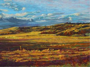 Neil Patterson: HAYING TIME