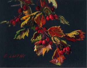 Ernest Luthi: HAWTHORNE APPLES