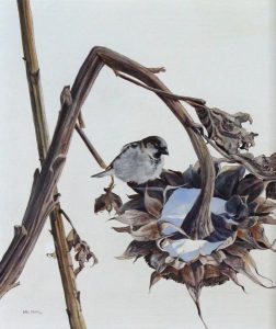 Mel Heath: SUNFLOWER PERCH