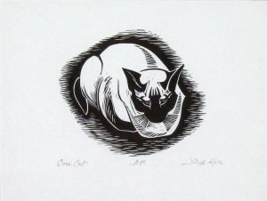 Illingworth Holey Kerr: COSI CAT
