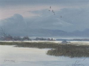 Allan Robert Thompson: BIRDS HEADING SOUTH