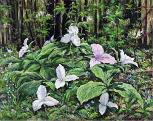 Oleg Podymow: TRILLIUMS