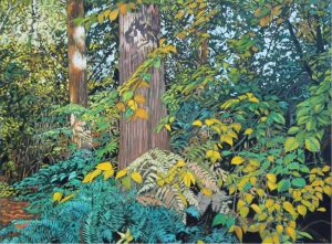 Dan Varnals: AUTUMN COLOURS II