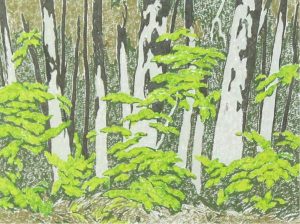 Alfred Joseph Casson: FOREST EDGE