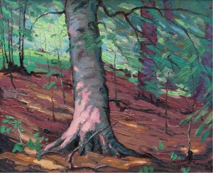 William Parsons: BEECHWOODS