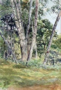 James Edward Hervey MacDonald: BIRCH WOODS