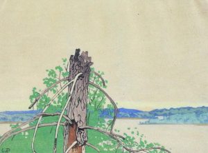 Walter Joseph Phillips: THE STUMP