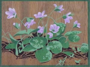 Alfred Joseph Casson: HEPATICA