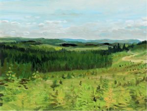 Douglas Hector Haynes: SOUTH OF ROBB, HINTON ROAD