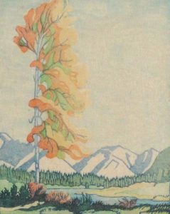 Margaret Dorothy Shelton: YELLOW POPLAR, BANFF