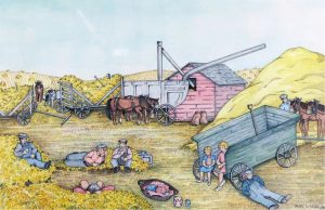 Hazel Litzgus: BRINGING LUNCH TO THE THRESHERS