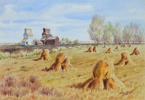 Don Frache: SEPTEMBER HARVEST