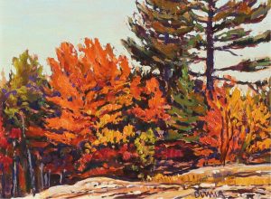 William (Bill) Duma: AUTUMN COLOUR