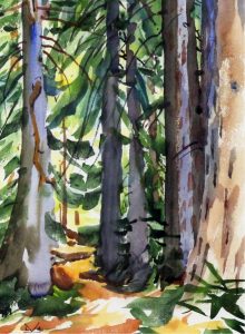Illingworth Holey (Buck) Kerr: REDWOODS NEAR CARMEL