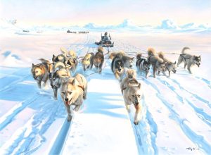 Tag Kim: ARCTIC SCENE WITH DOG TEAM