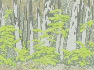 Alfred Joseph Casson: FOREST EDGE