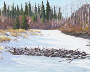 John Davenall Turner: BEAVER DAM ON FROZEN CREEK