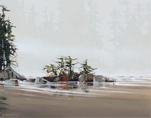 Allan Dunfield: COAST REFLECTING (VANCOUVER ISLAND)
