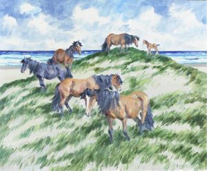 John Douglas Lawley: SABLE ISLAND: STALLION, THREE MARES AND FOAL